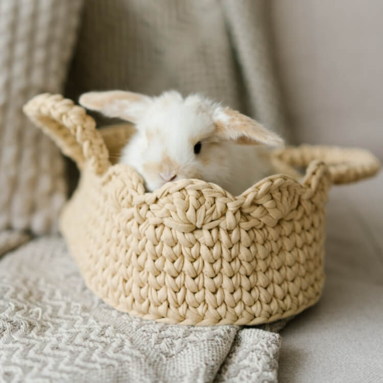 MicrosoftTeams-image (5)(1).jpg