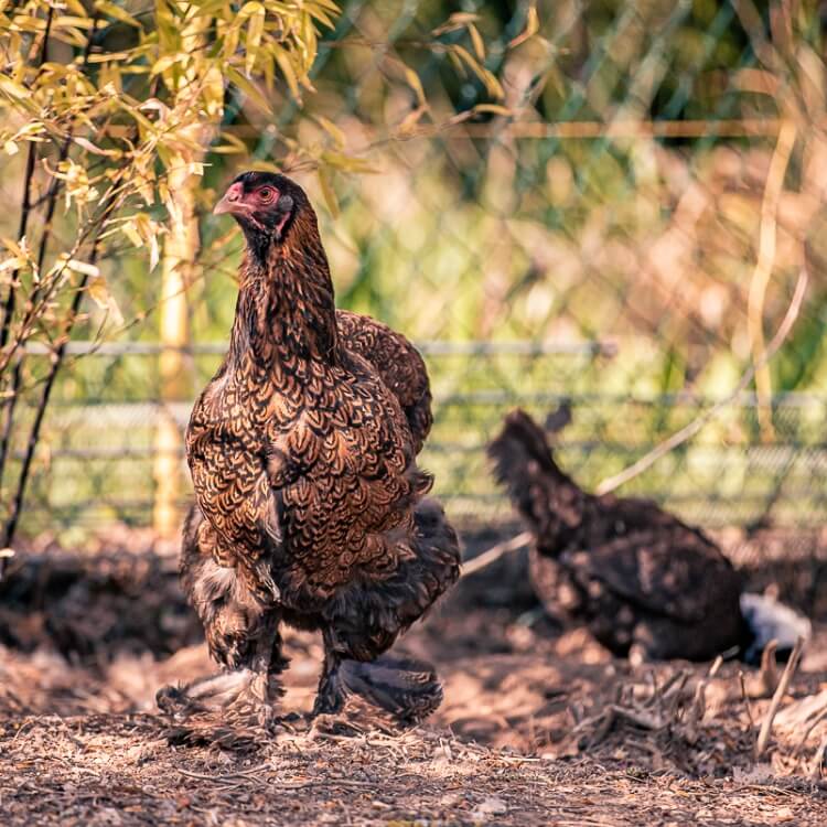 Secure Kota-1-11.jpg